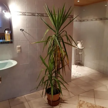 Lägenhet Haus Doerfler *